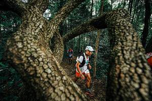 BIB: 
                            <button type="button" onclick="openModal(25393686)" class="btn btn-primary btn-sm float-right btn-popup" data-toggle="modal" data-target=".modal-high-quality">
                        <i class="fas fa-shopping-cart"></i> Add to Cart
                    </button>
                                            <button type="button" onclick="isThisMe(25393686, true)" class="btn btn-success btn-sm float-right btn-popup btn-isme hidden" data-toggle="tooltip" data-placement="bottom" title="นี่คือรูปของคุณใช่ไหม คลิกที่นี่เพื่อเอาเข้าอัลบั้ม">
                        <i class="fas fa-plus"></i> Add to album
                    </button>
                    <button type="button" onclick="isThisMe(25393686, false)" class="btn btn-warning btn-sm float-right btn-popup btn-isnotme hidden">
                        <i class="fas fa-ban"></i> Remove from album
                    </button>